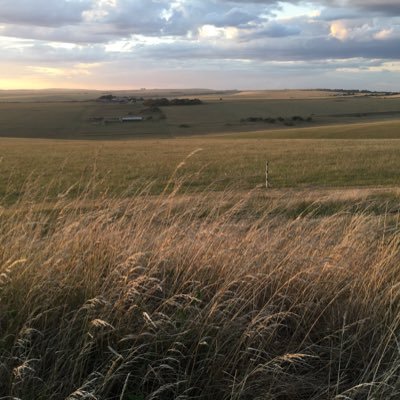 ljweatherall's profile picture. 