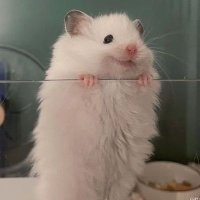 Mario (@mario_unit01) 's Twitter Profile