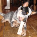 Raphael Watson - @Raphael_Watson - Twitter