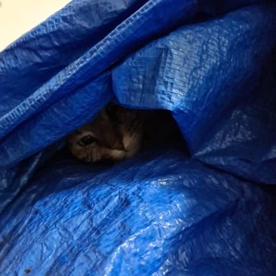 Funkmaster2030's profile picture. 