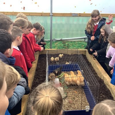 CarronP5A's profile picture. P5A and Ms Archibald