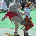 tim shirley - @timshirley1 - Twitter