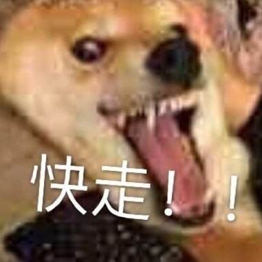 温州乐清寻个单男。私聊附带自拍照和武器照，我会给媳妇看，可以会回复！