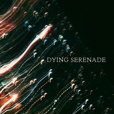 🔸Post-Rock/Metal project from Iran

🔸Check out Spotify: Dying Serenade

https://t.co/FZCDfAI3wN