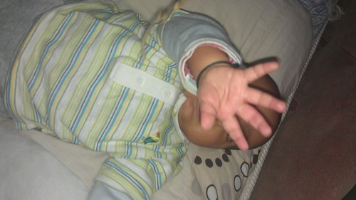 dogblanka's profile picture. 