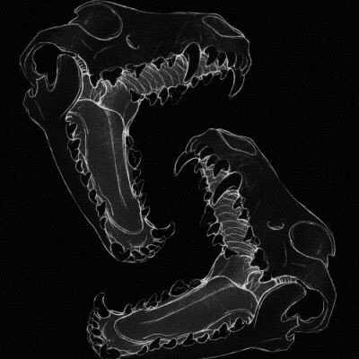 Makkokujira_'s profile picture. Si.