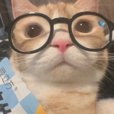 takcoyakki's profile picture. 악법도 법이고 위선도 선이라면 어쩌면 병신도 신이 아닐까요??몰래하는 무휴학+알바+N반수 스토리