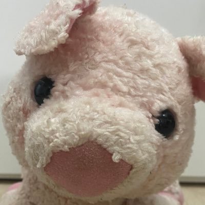 Piglett_abk Profile Picture