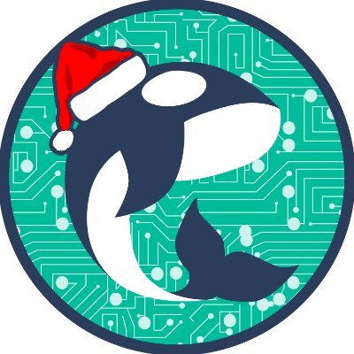 Orca Computer People