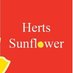 HertsSunflower (@HertsSunflower) Twitter profile photo