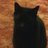 karenb914's profile image