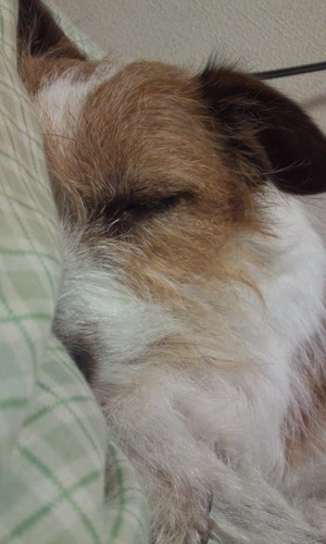 teatree4616's profile picture. 