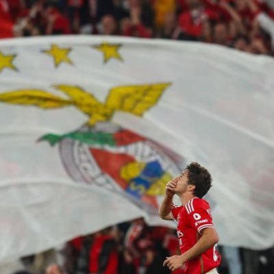 Eu amo o Benfica #SchmidtOUT