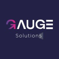 Gauge Solutions(@gaugesolutions) 's Twitter Profile Photo