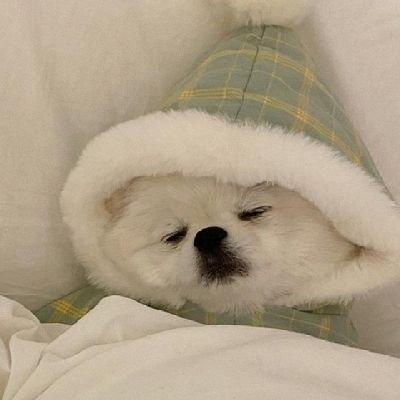 ThuPhng943575's profile picture. 