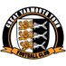 Great Yarmouth Town FC (@The_Bloaters) Twitter profile photo