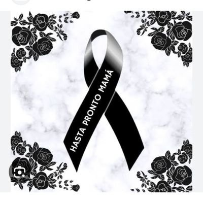 LaAdictaOsitaa's profile picture. Amo a los animales. La soledad a veces es necesaria para madurar. Una sonrisa me puede cautivar. Una actitud me puede dañar pero nunca matar.