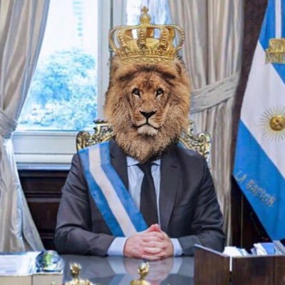 26 | Desarrollador de Negocios | Liberal Libertario | Anti K | LLA | 🇦🇷