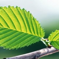 @mmmnnnbbb9876 (@mmmnnnbbb98763) 's Twitter Profile