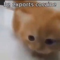 the silly master (@tesingphase) 's Twitter Profile