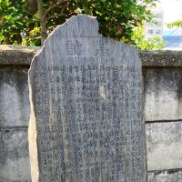 落合有紀 (@guerrilla2) 's Twitter Profile