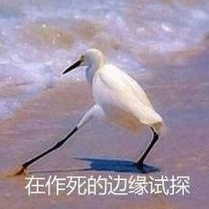 karman0414's profile picture. 