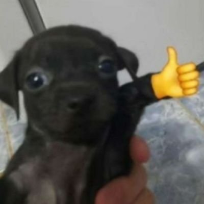 @IronBr7