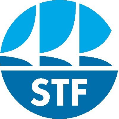 STF_oficial Profile Picture