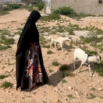 PhD student of decolonial & literacy studies, but I dream of herding goats in 🇸🇴