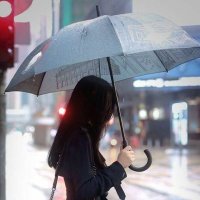 Safyah Yusuf ✨ (@yes8_) 's Twitter Profile
