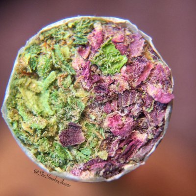 Wir sind das erste AV-Baby des Cannabis Social Clubs Hamburg @CSC_FHH
Kontakt: info@csc-no1.de
