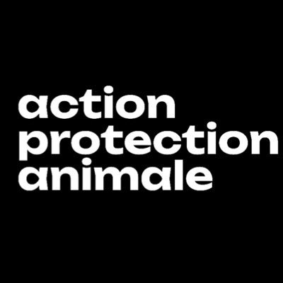 Action Protection Animale Profile