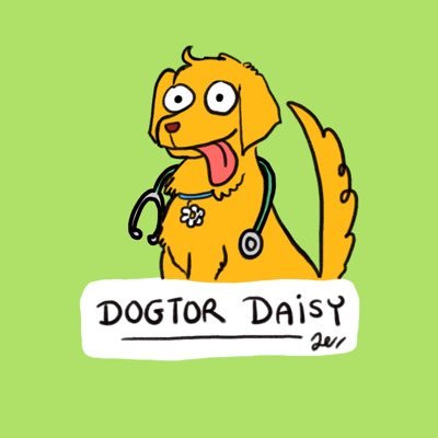 DogtorDaisy Profile Picture