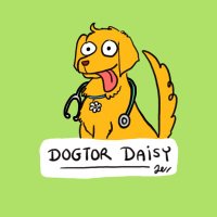 Dogtor Daisy(@DogtorDaisy) 's Twitter Profile Photo