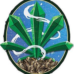 Welcome to the most trusted online cannabis flower and seeds shop🍃
merch: @iogmerch
seeds : @seedsepitome
iogenfluencer: @icedoutgen