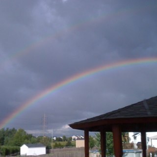 dani_girl1642's profile picture. 