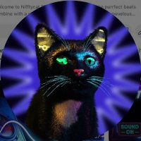NIFFTYCAT(@Nifftycat) 's Twitter Profile Photo