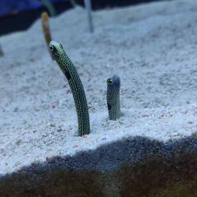 いろさんのプロフィール画像