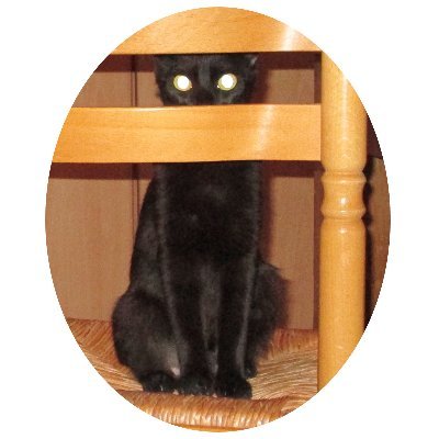 unumaine's profile picture. On me reproche de ne pas avoir d'avatar.. Donc voici ma minette ! Quoi de plus intime !
Un regard sur le monde.
Vote utile : petits producteurs. Boycott Carrouf