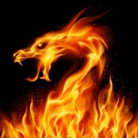 Flaming Dragon(@FlamingDragonA1) 's Twitter Profile Photo