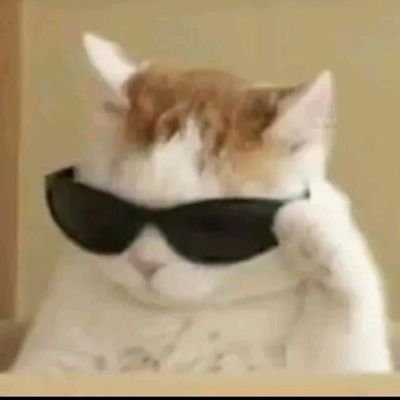 🌸Elle/Iel
🎂 21 ans ♒
demisexuel et pan, genderfluid
SOPK
