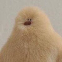๐ฆ๐ฆ๐ฆ๐๐๐ (@uuunnn_pic) 's Twitter Profile