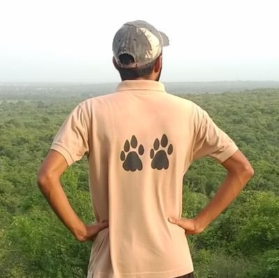 Gir Is Life |
Big Cat Tracker |
Wildlife Photographer