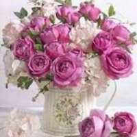 M.ziaadini (@mziaadini) 's Twitter Profile