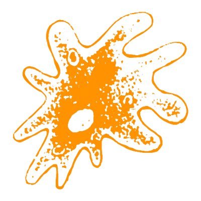 Product Manager de Qualinova Intercomparativos - Labnova Distribuciones Agroalimentarias S.L.
Contáctanos en qualinova@labnovasl.com