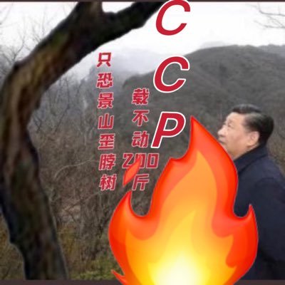 穿刺黑暗 相信明天——红毒不尽,隐患成灾! 互联网言论自由的基本特征是:让你表达,让我争辩!反之就是中共特色!