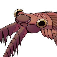 anomalocarisさんのプロフィール画像