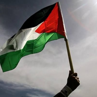 PalestinooFree Profile Picture