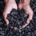 NETforcarbon (@netforcarbon) Twitter profile photo NETforcarbon (@netforcarbon) Twitter profile photo