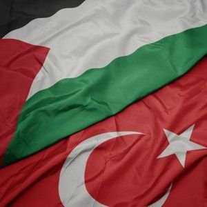 DemirdogenHusna's profile picture. 